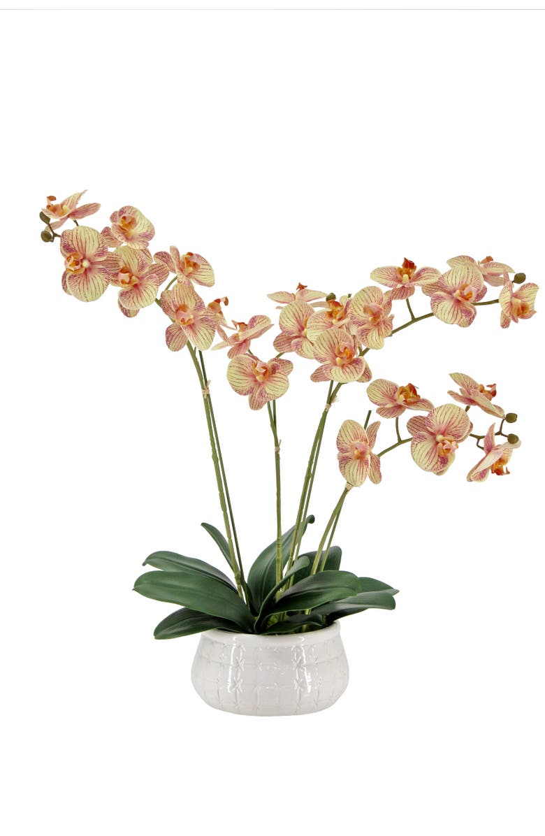 CG Hunter Artificial 4-Stem Phalaenopsis Orange Orchid, Main, color, Orange