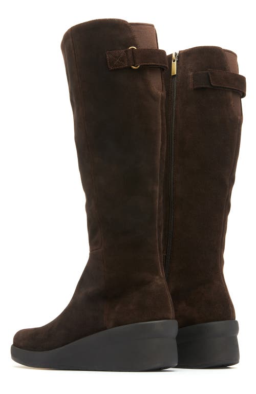 Abeo Passage Tall Boot In Dark Brown - Regular