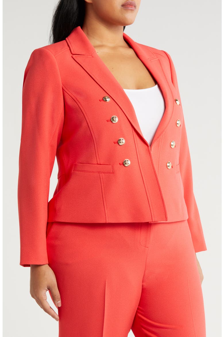 Faux Double Breasted Blazer, Alternate, color, GRENADINE