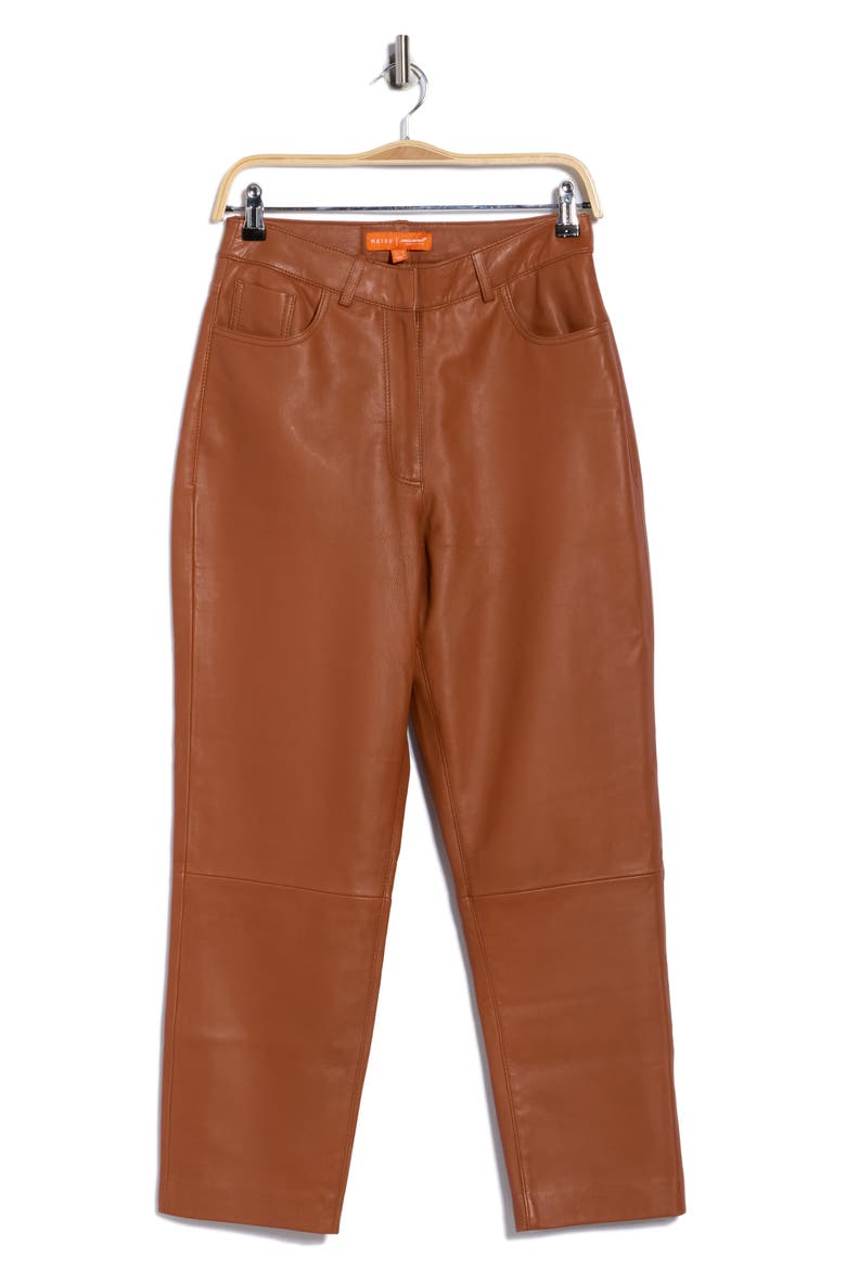 Totto Leather Pants, Alternate, color, TAN