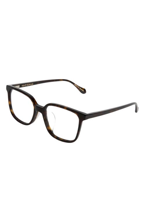 Mohala Eyewear Nani 50mm Low Nose Bridge Narrow Width Square Optical Glasses In Kukui Tortoise/clear Lenses