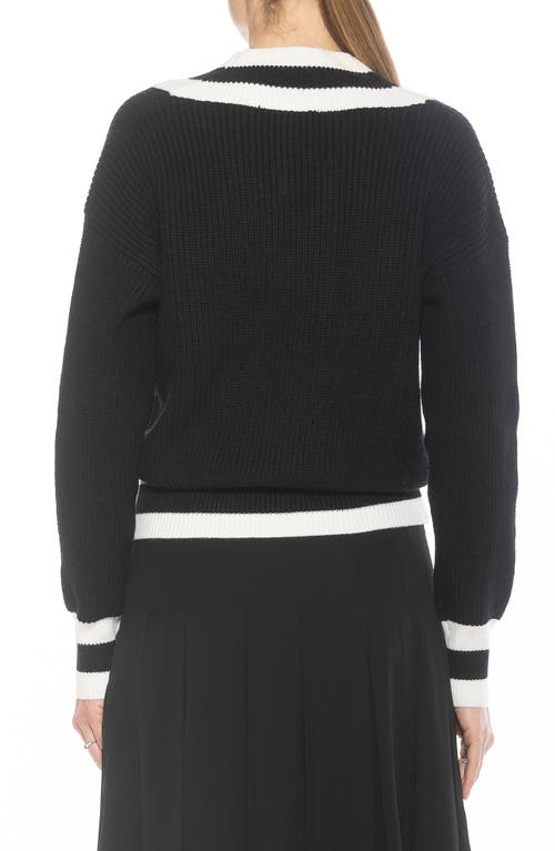 Alexia Admor Leona V-neck Varsity Polo Sweater In Black/ivory
