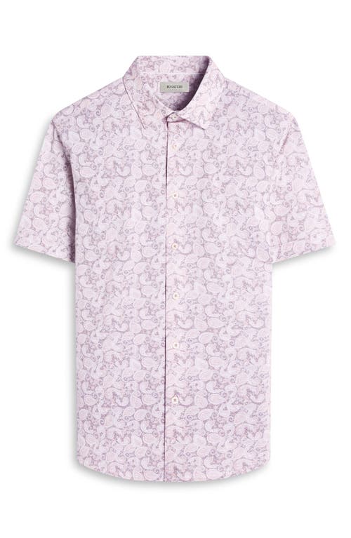 Bugatchi Miles Ooohcotton® Paisley Short Sleeve Button-up Shirt In Multi