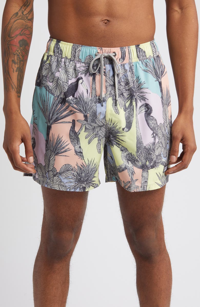 SAXX Oh Buoy Stripe 2-in-1 Hybrid Shorts, Main, color,