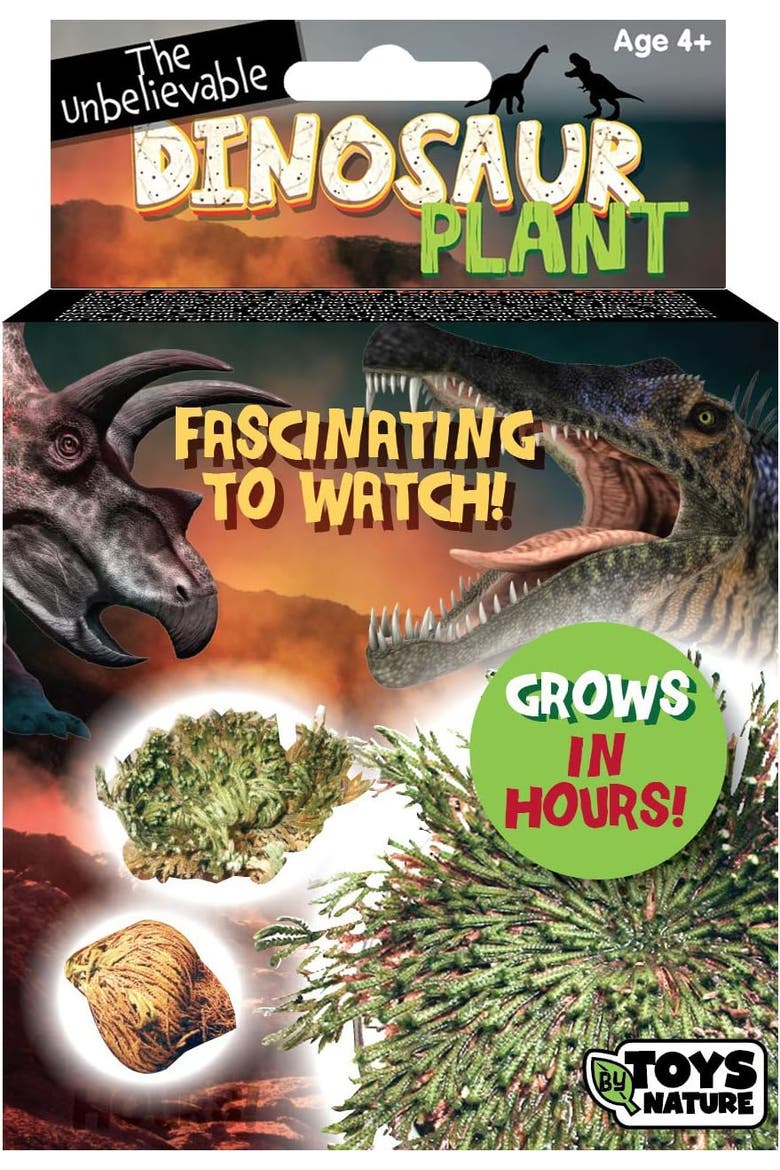 Grow Your Own Everlasting Evergreen Dinosaur Plant - Simply Add Water and Watch It Grow in Just A Few Hours!, Main, color, None