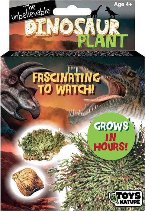 Grow Your Own Everlasting Evergreen Dinosaur Plant - Simply Add Water and Watch It Grow in Just A Few Hours!