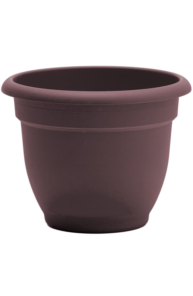 Bloem Ariana 13 Inch x 7 Inch Gardening Pot, Merlot, Main, color, Brown