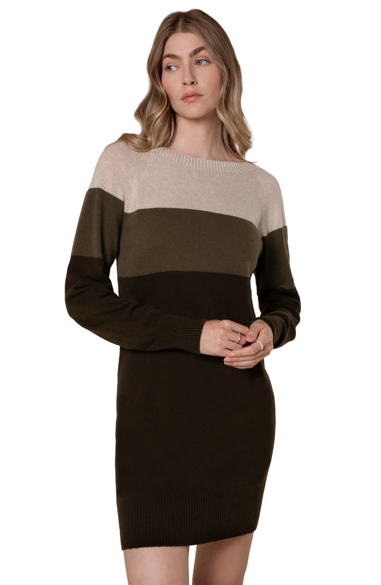 Celtic & Co. Supersoft Slouch Dress, Main, color, Khaki Colourblock