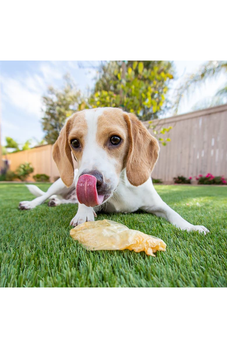 Scout & Zoe's Chicken Breast Jerky, 4oz Dog & Cat Treats, Dehydrated Pet Chew, Alternate, color, Multicolored