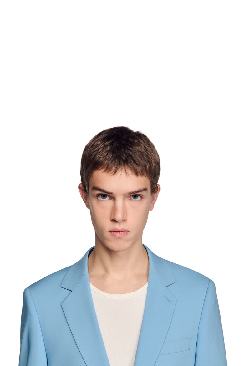 Wool suit jacket, Alternate, color, Sky blue