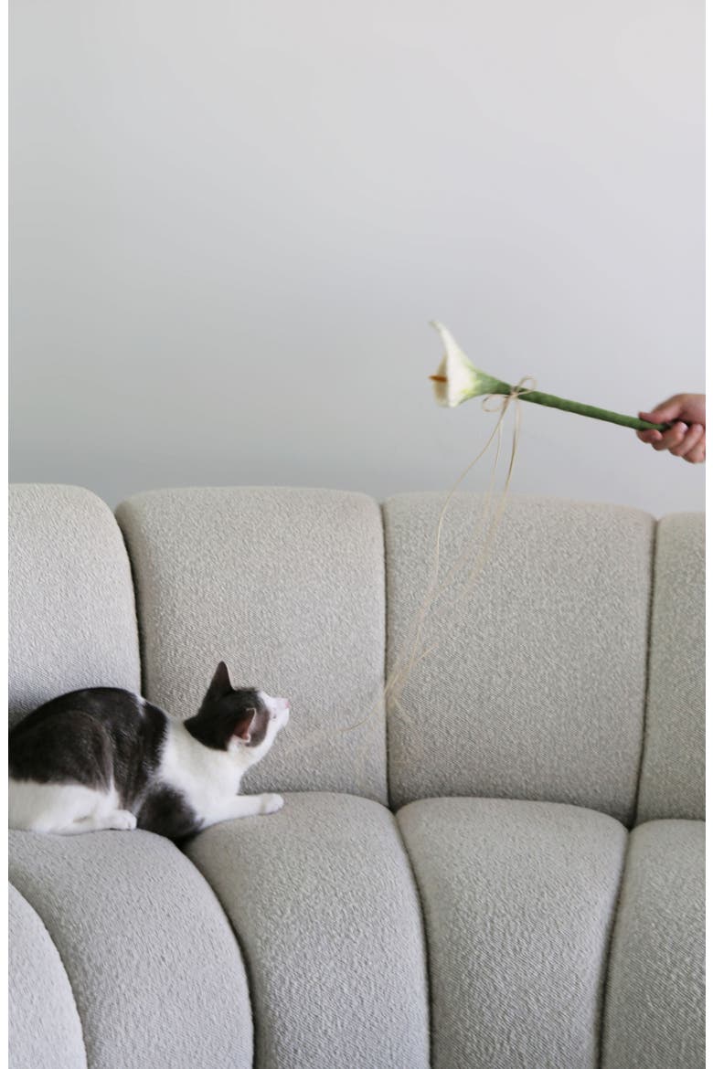 Flora Wand Cat Toy, Alternate, color, NONE