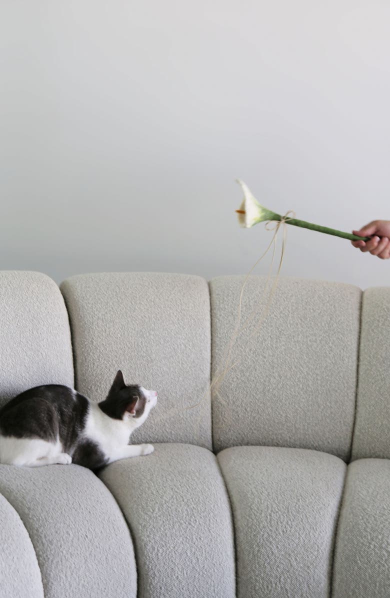 Catenary Flora Wand Cat Toy, Alternate, color, 