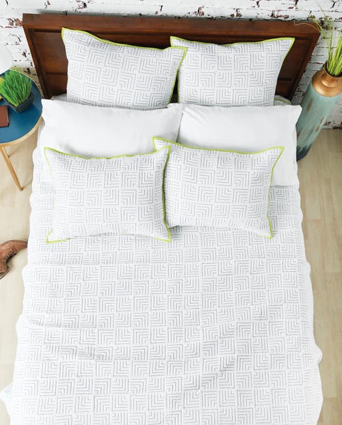 Carol & Frank Spencer Cotton Standard Pillow Sham In White