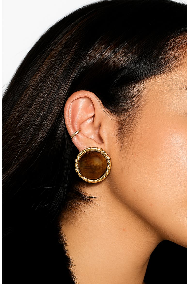 Bezel Stud Earrings, Alternate, color, GOLD/ TIGERS EYE