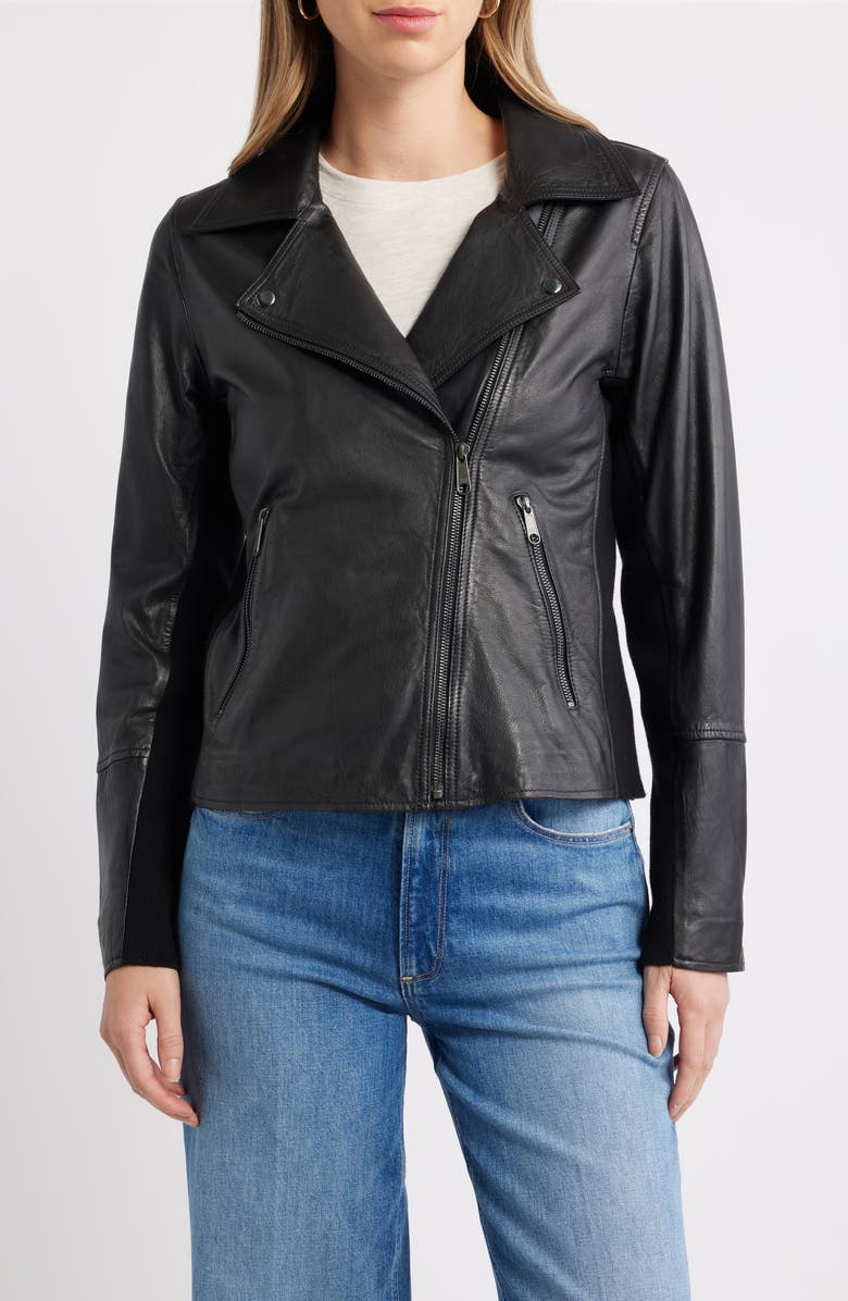 Caslon<sup>®</sup> Leather Moto Jacket, Alternate, color, Black