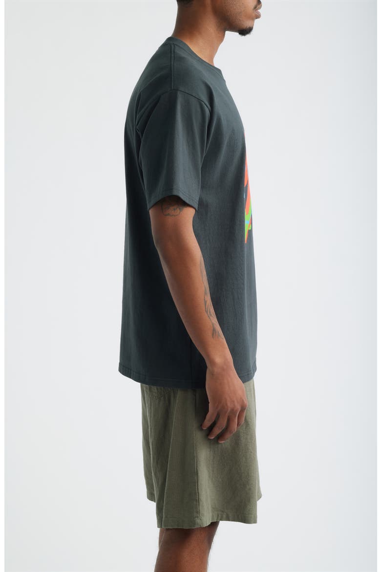 Parrots Graphic T-Shirt, Alternate, color, VINTAGE BLACK