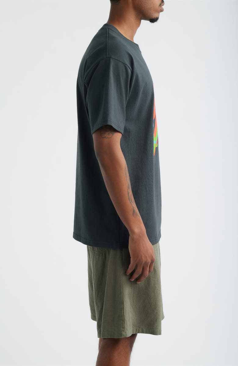 Obey Parrots Graphic T-Shirt, Alternate, color, Vintage Black