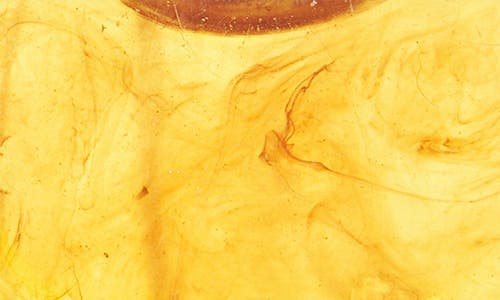 Tasha Set Of 2 Resin Hoop Earrings In Multi