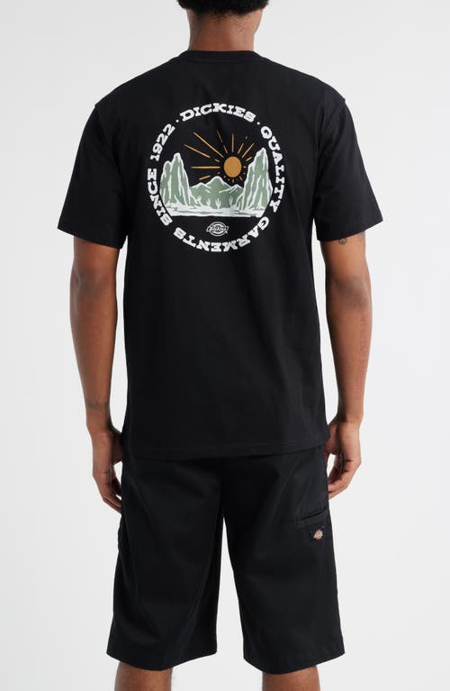 Dickies Outdoor Logo Graphic T-shirt
