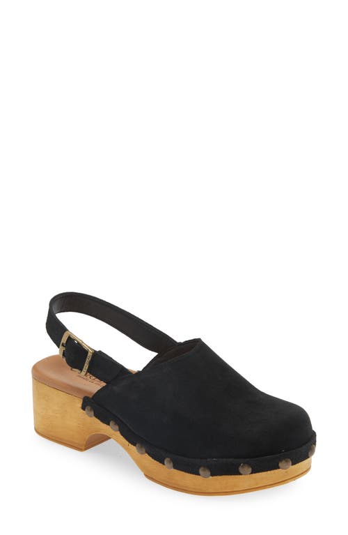 Cordani Wilkes Platform Clog in Black Suede 