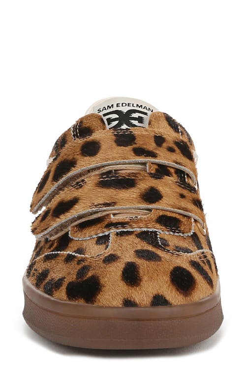 Sam Edelman Talia Sneaker