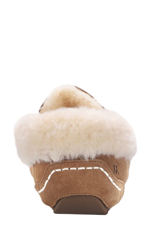 Mykos Suede Faux Fur Lined Water Repellent Slipper In Brown