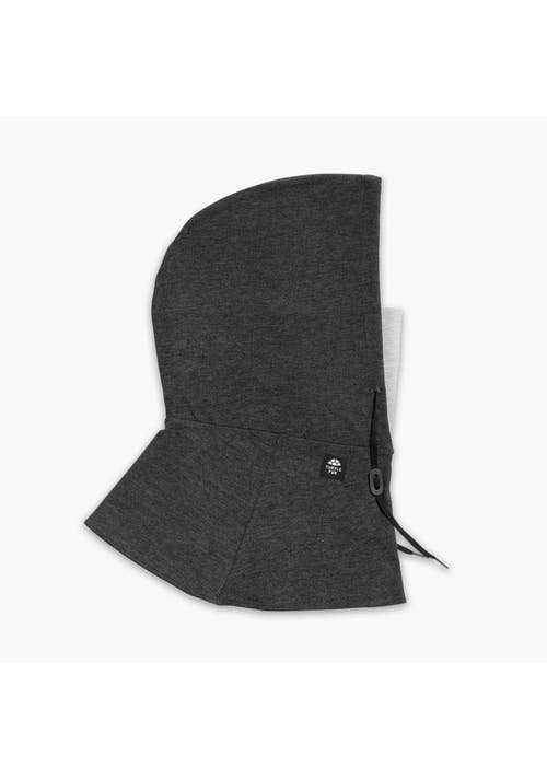 Turtle Fur All-mountain Overhood Balaclava In Black