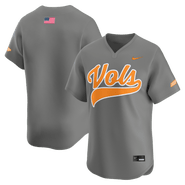 Nike Men's Nike  Gray Tennessee Volunteers Alternate Limited Baseball Jersey