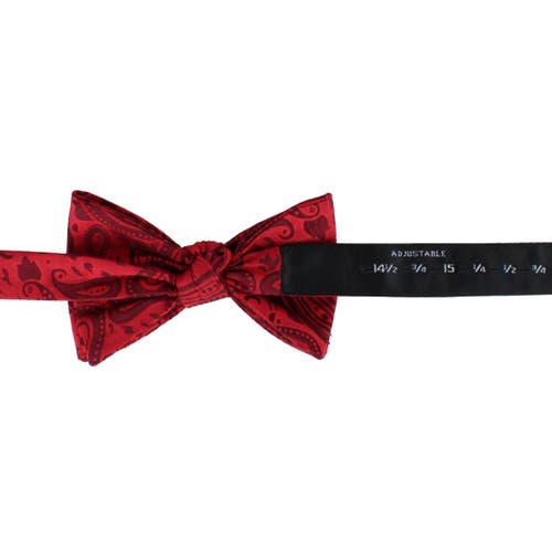 Trafalgar Banbury Tone On Tone Paisley Silk Bow Tie In Red
