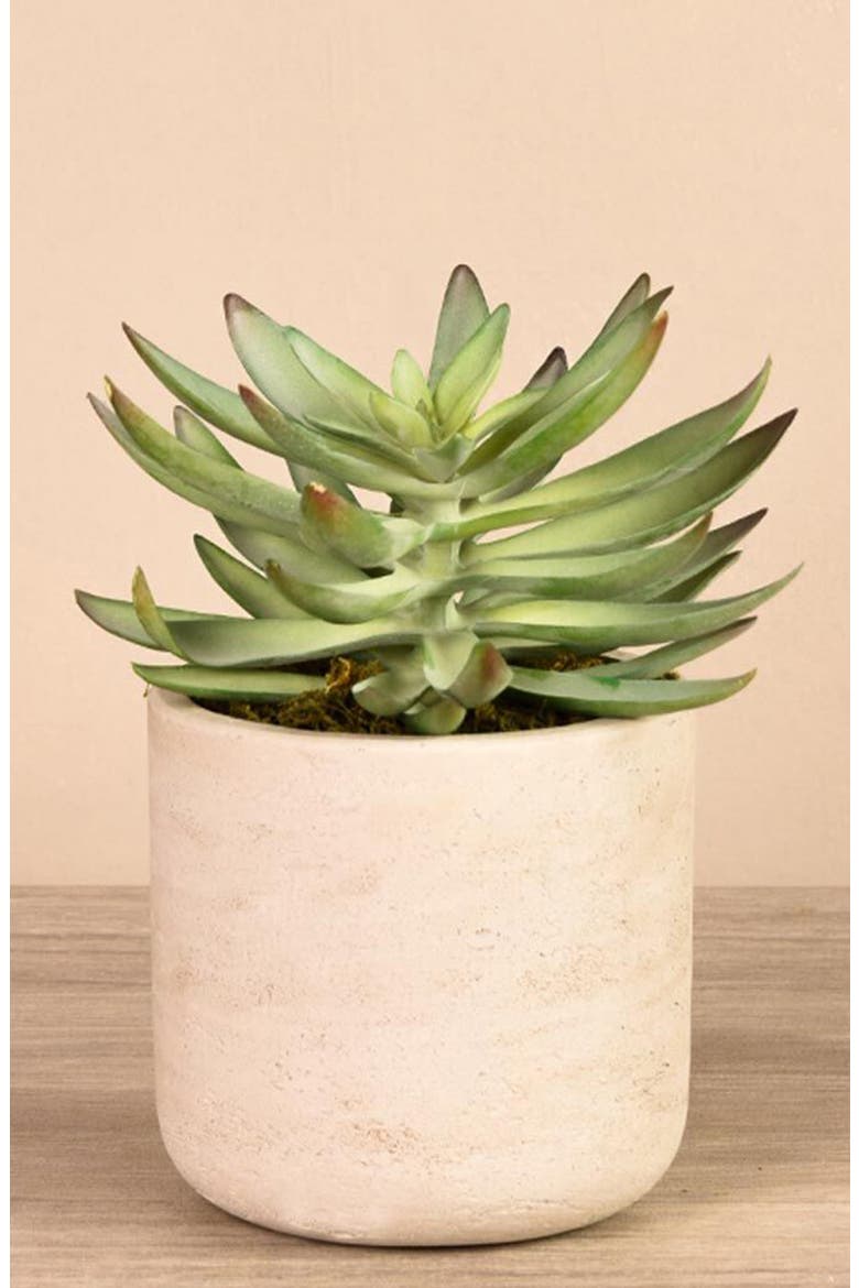 Desert Echeveria Succulent Planter Decoration, Alternate, color, GREEN
