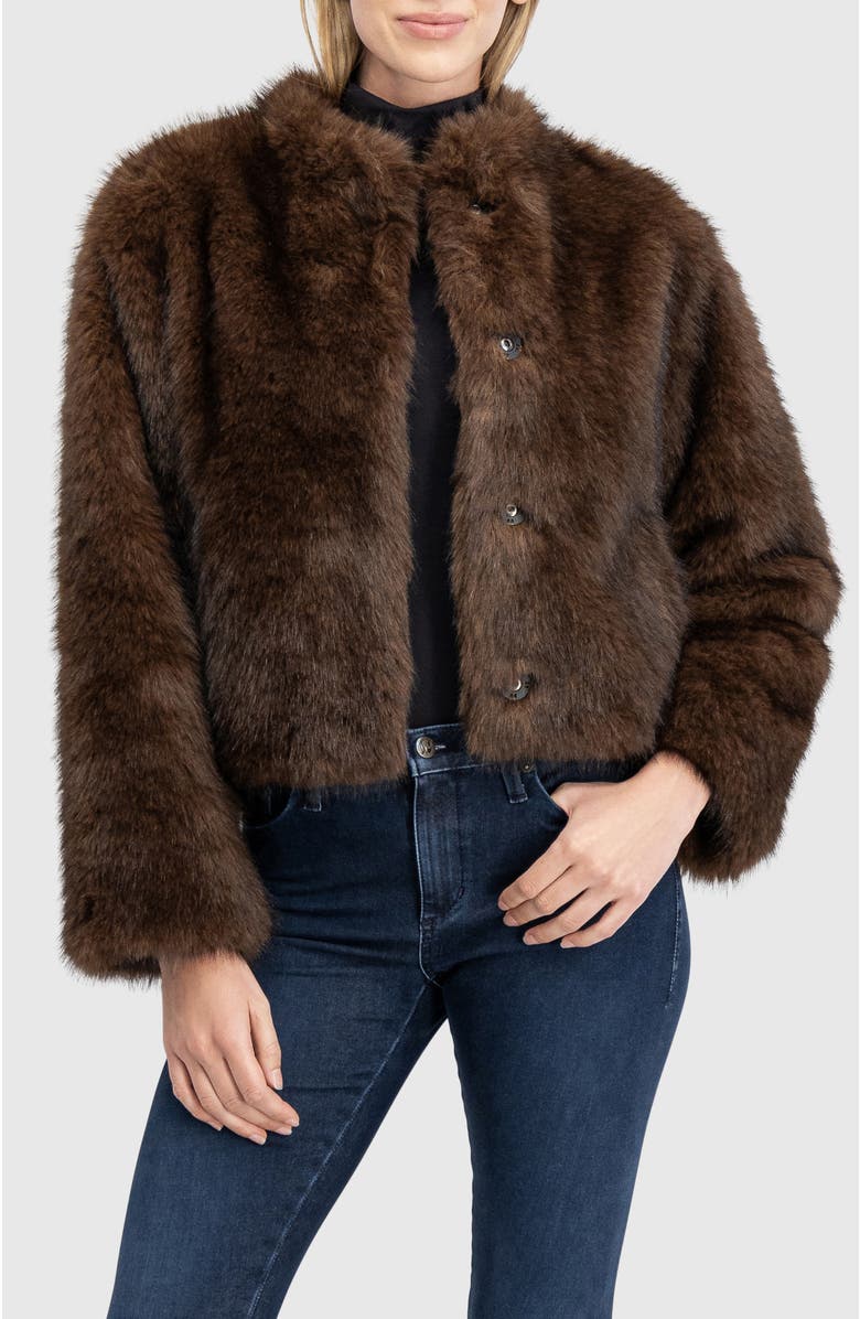 Lyla Grant Fur-Free Sable (Faux Fur) Jacket, Stand Collar, Main, color, Brown