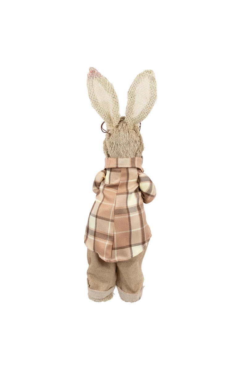 Northlight Rustic Boy Rabbit Easter Figure with Book - 16.25" - Beige, Alternate, color, Beige