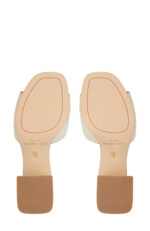 Ted Baker London Chloe Slide Sandal In Gold