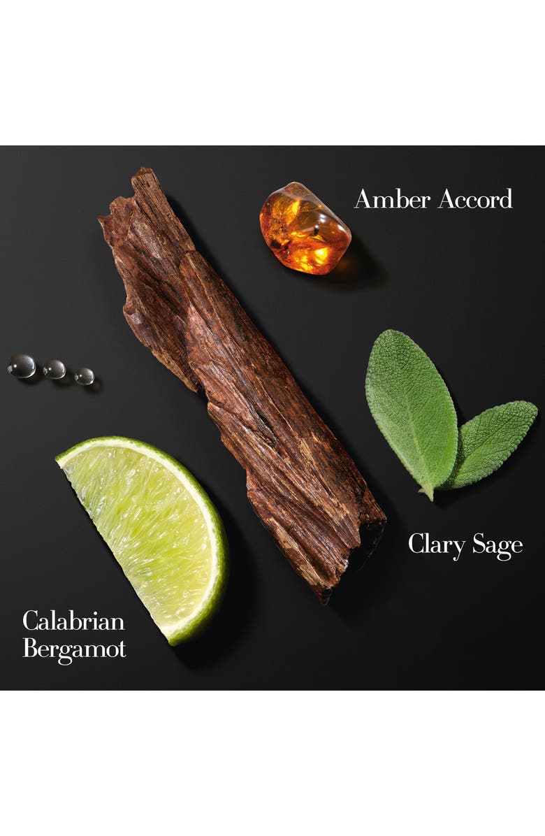 ARMANI Acqua Di Gio Eau de Parfum Intense, Alternate, color, 