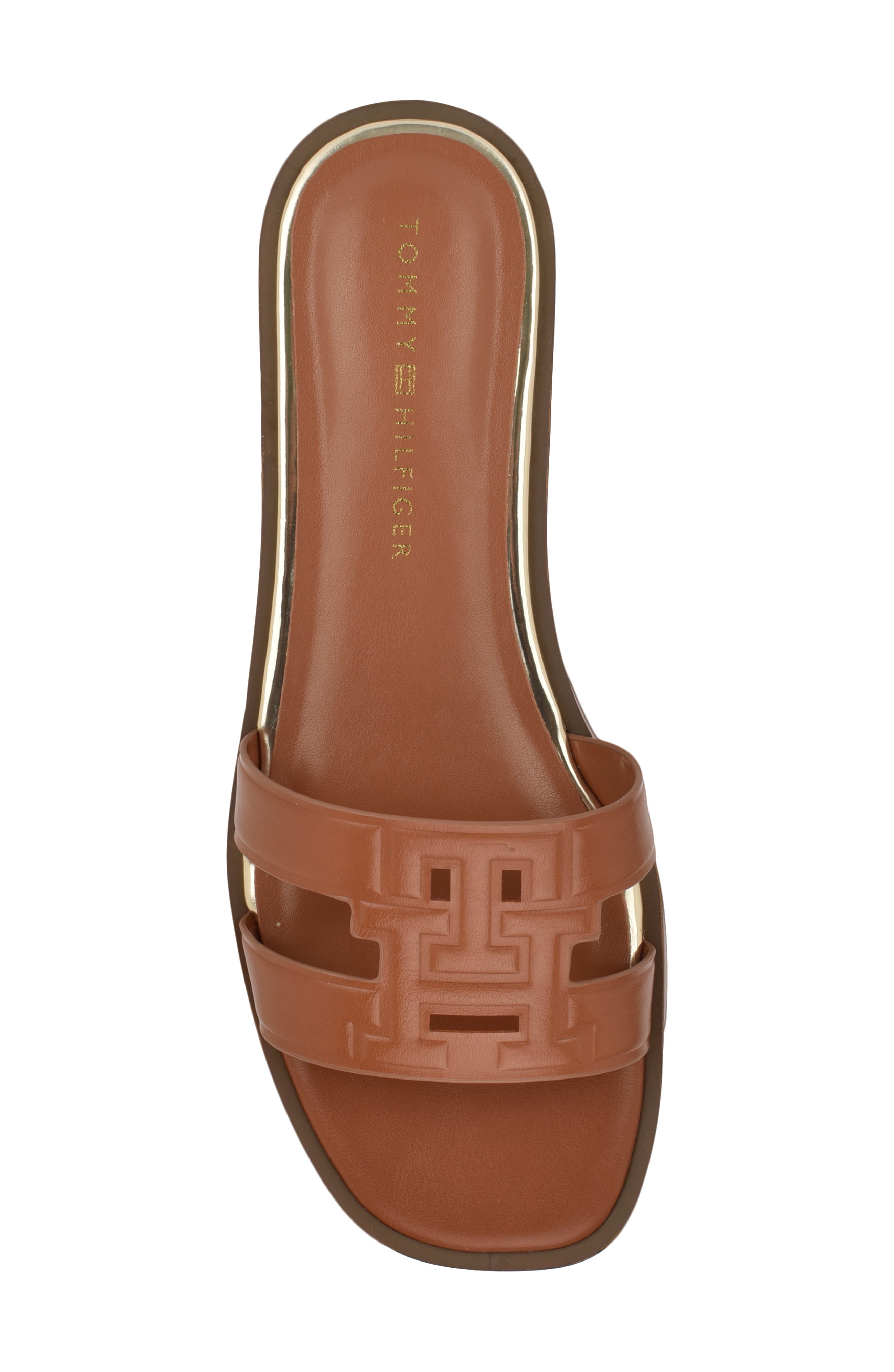Tommy Hilfiger Terenz Slide Sandal, Alternate, color, British Tan