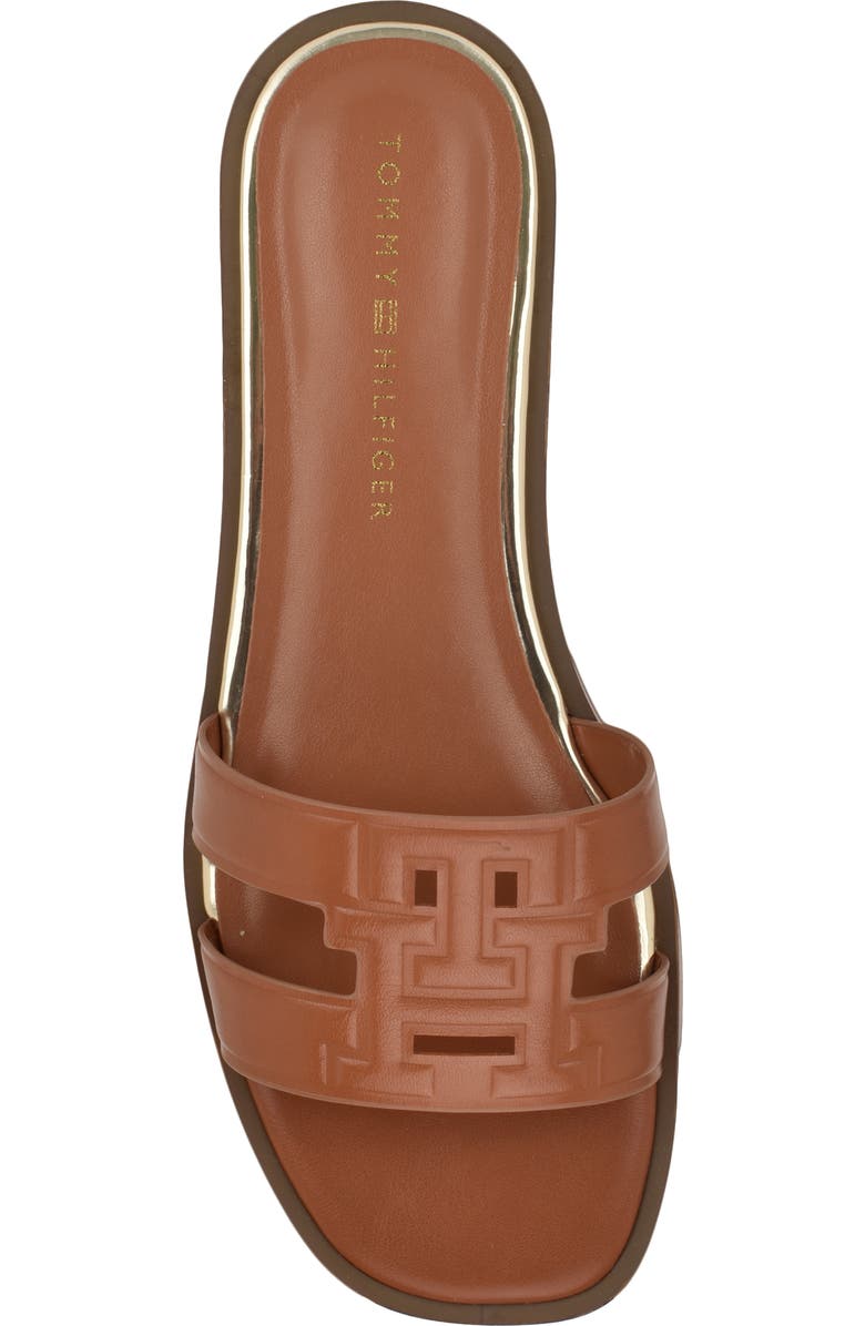 Tommy Hilfiger Terenz Slide Sandal, Alternate, color, British Tan