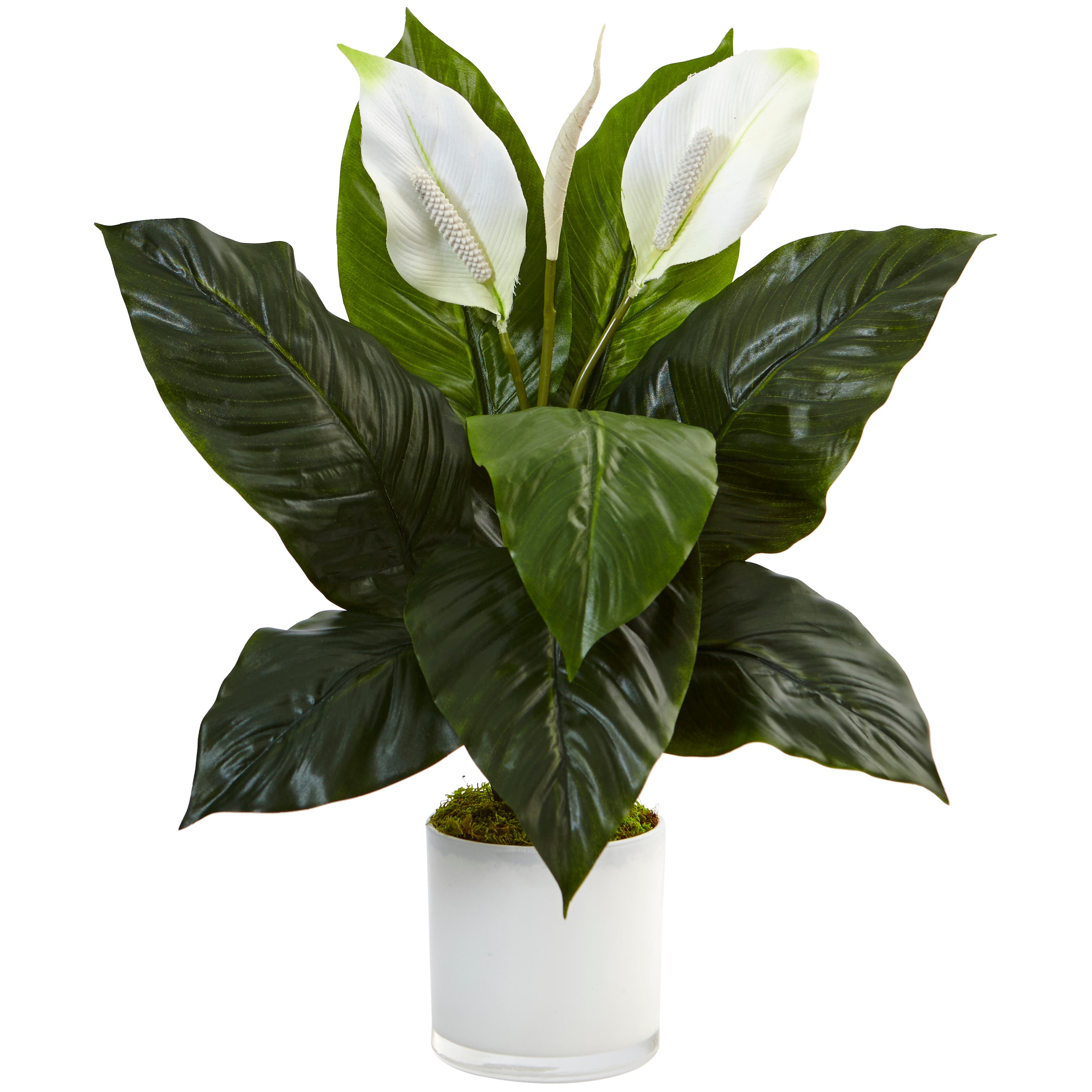 selected Green