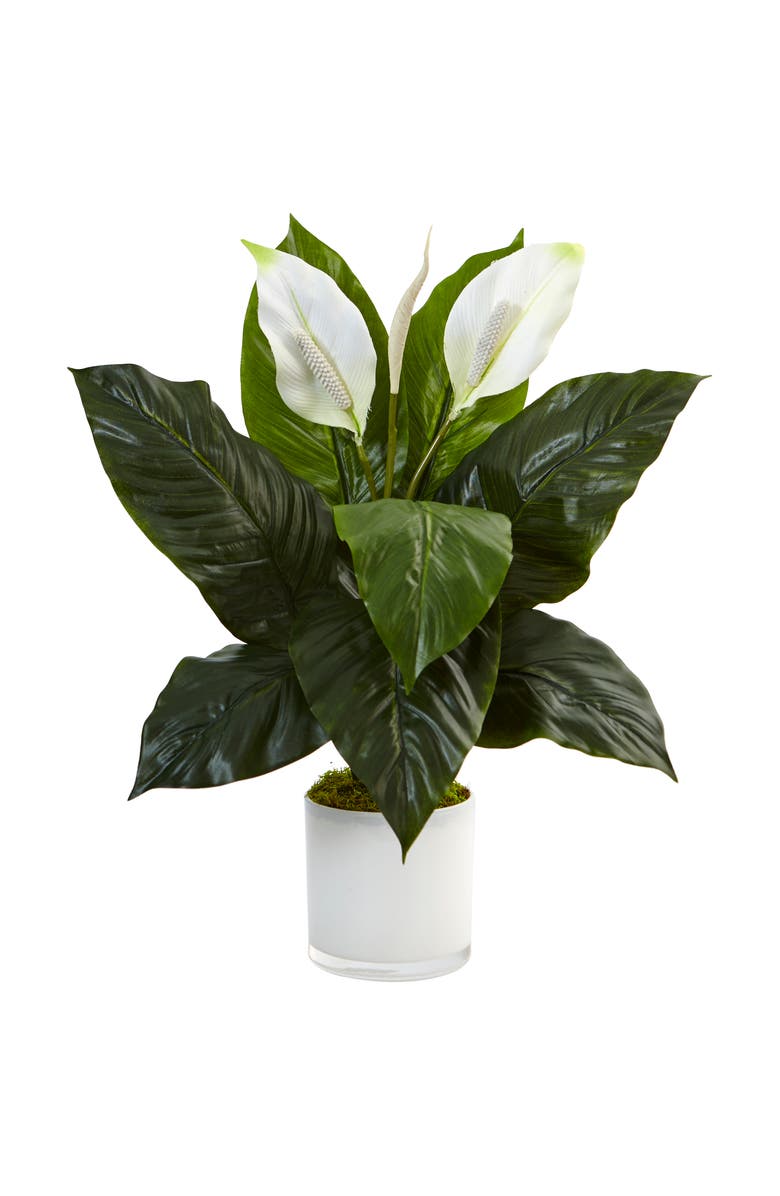 NEARLY NATURAL Spathiphyllum Artificial Flowering Peace Lily in Glossy Glass Planter, Main, color, Green