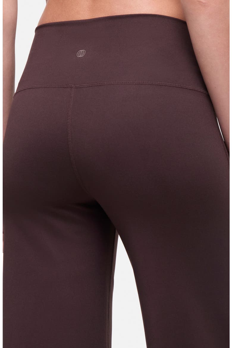 Lizzie Wide Leg Pants, Alternate, color, MOLE