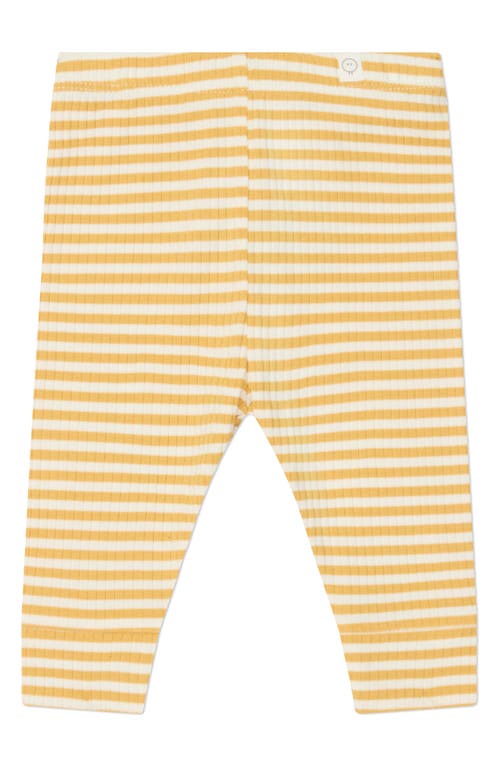 Mori Rib Leggings In Mustard Stripe