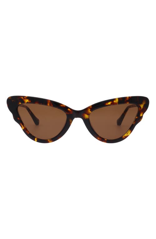 Florence By Mills 51mm Butterfly Sunglasses In Brown