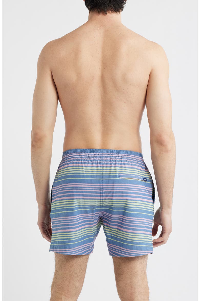The Blossom Bands 5.5-Inch Swim Trunks, Alternate, color, DUSTY BLUE