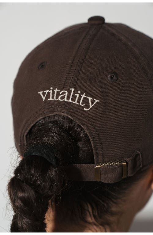 Vitality Baseball Hat In Brown