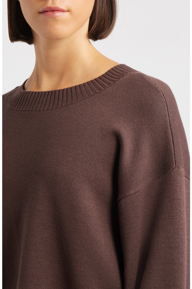 Crop Stripe Sleeve Sweater, Alternate, color, EARTH