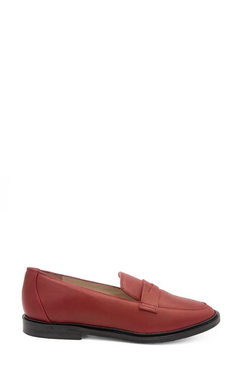 Amalfi By Rangoni Calabrone Penny Loafer In Brunello Piuma Lux