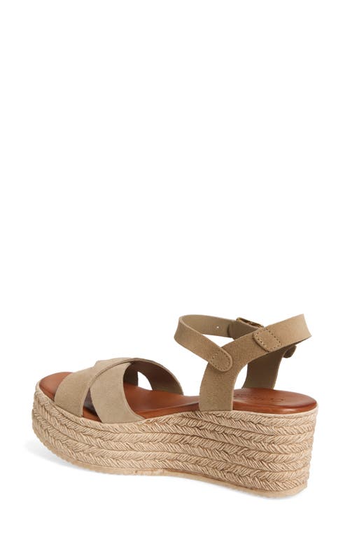 Cordani Bazil Espadrille Ankle Strap Platform Wedge Sandal In Arena Suede