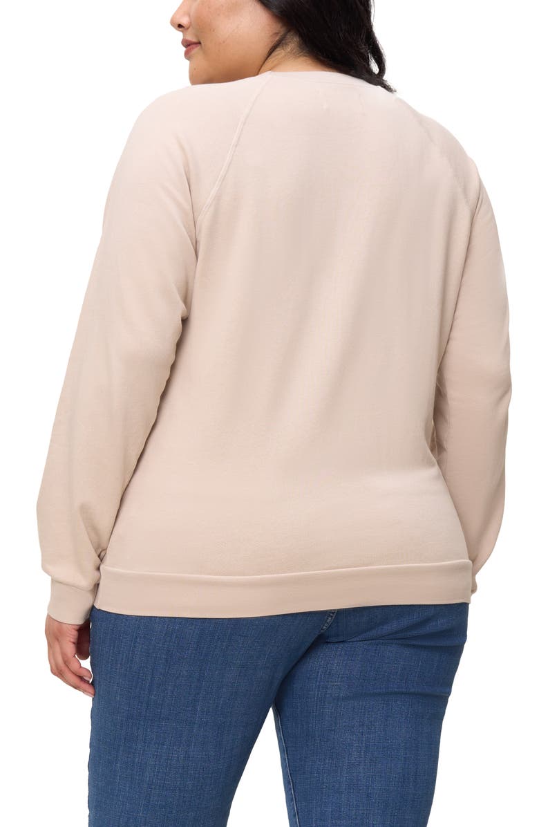 The Standard Stitch The Raglan Sweatshirt, Alternate, color, Oat