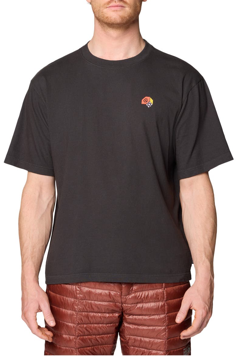 MHW Tri-Color Graphic T-shirt, Main, color, STEALTH GREY