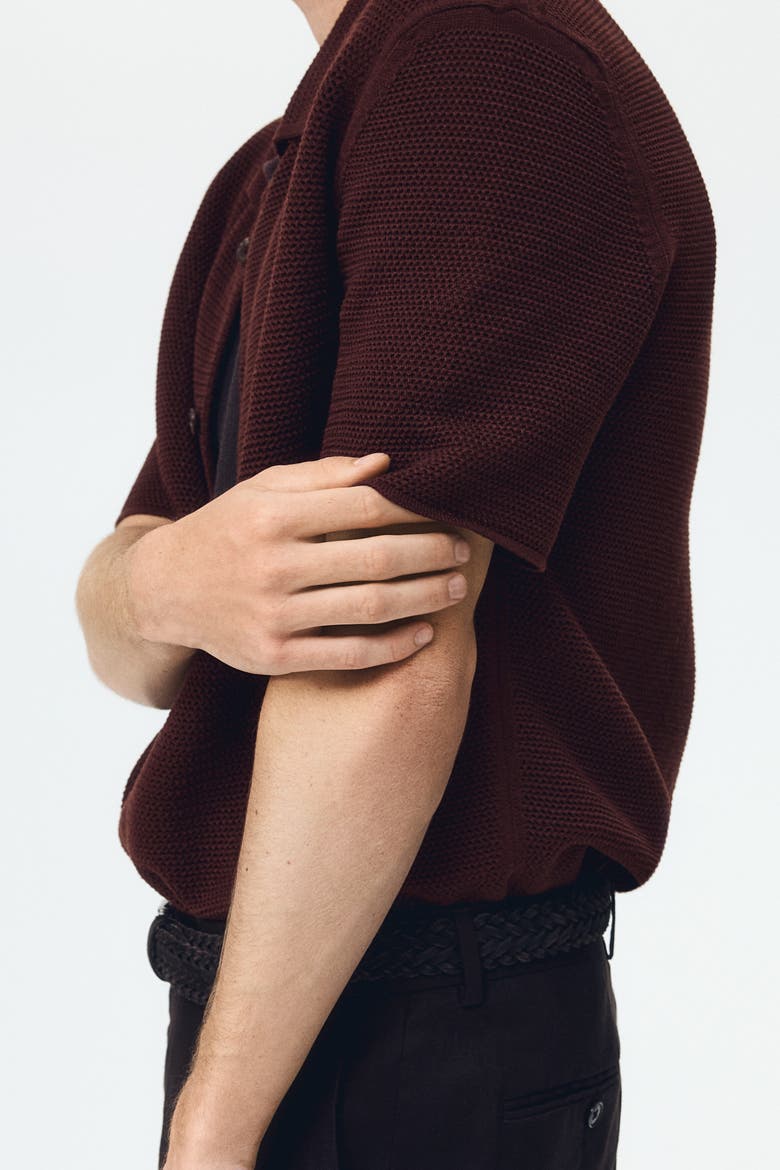 Regular Fit Hole-knit Shirt, Alternate, color, Dark brown