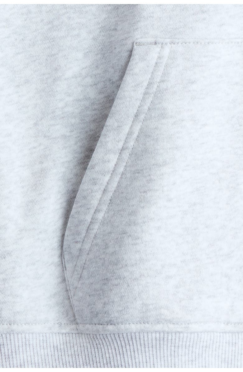 H&M Embroidered Zip-through Hoodie, Alternate, color, Light Gray Melange/London